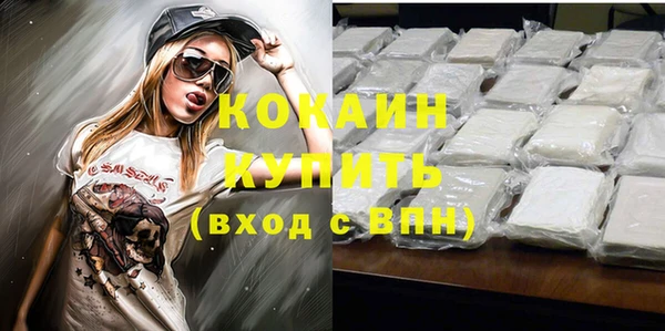 сатива Протвино